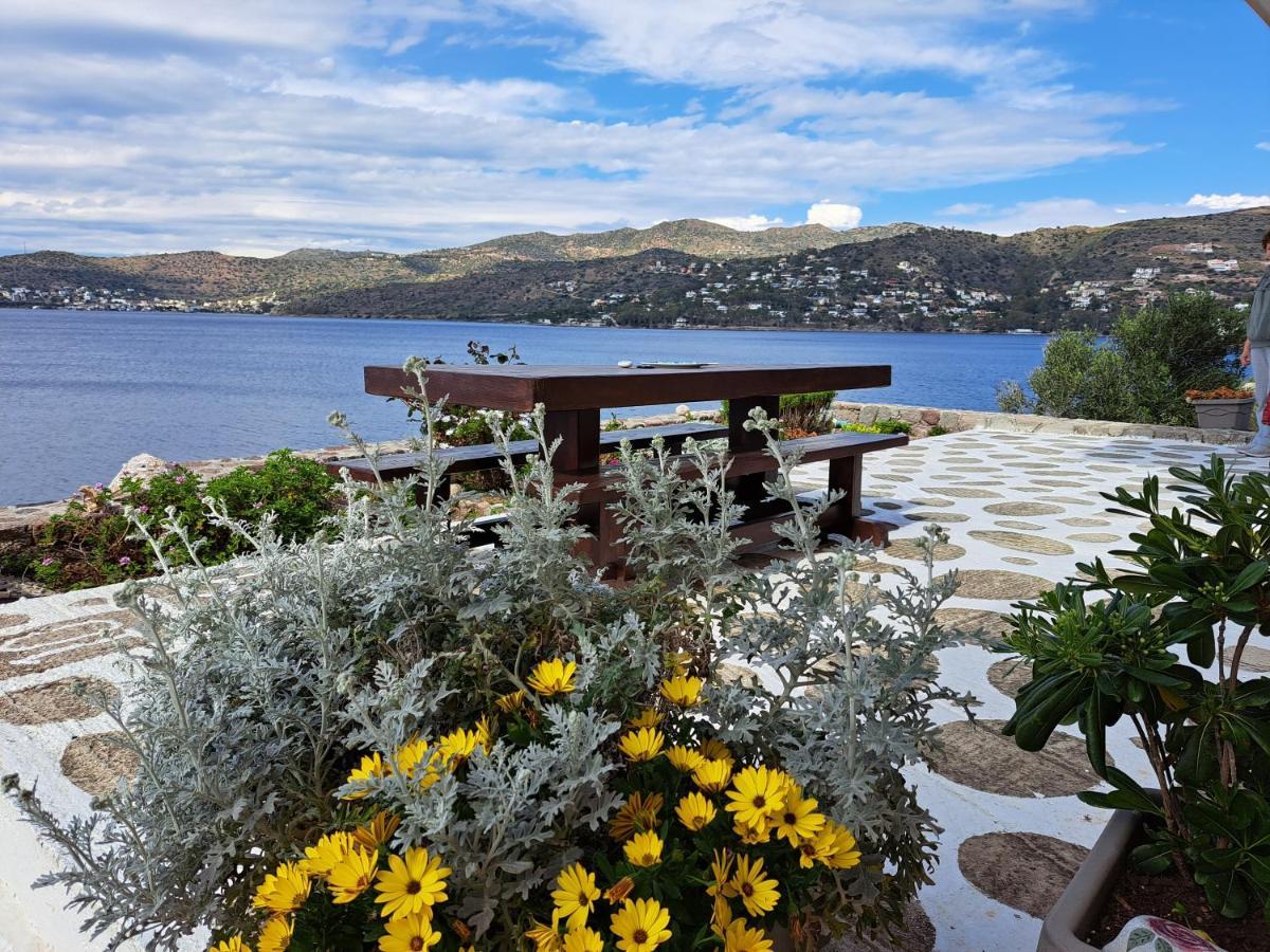 Almyra Seaside Villa Pérdika Kültér fotó