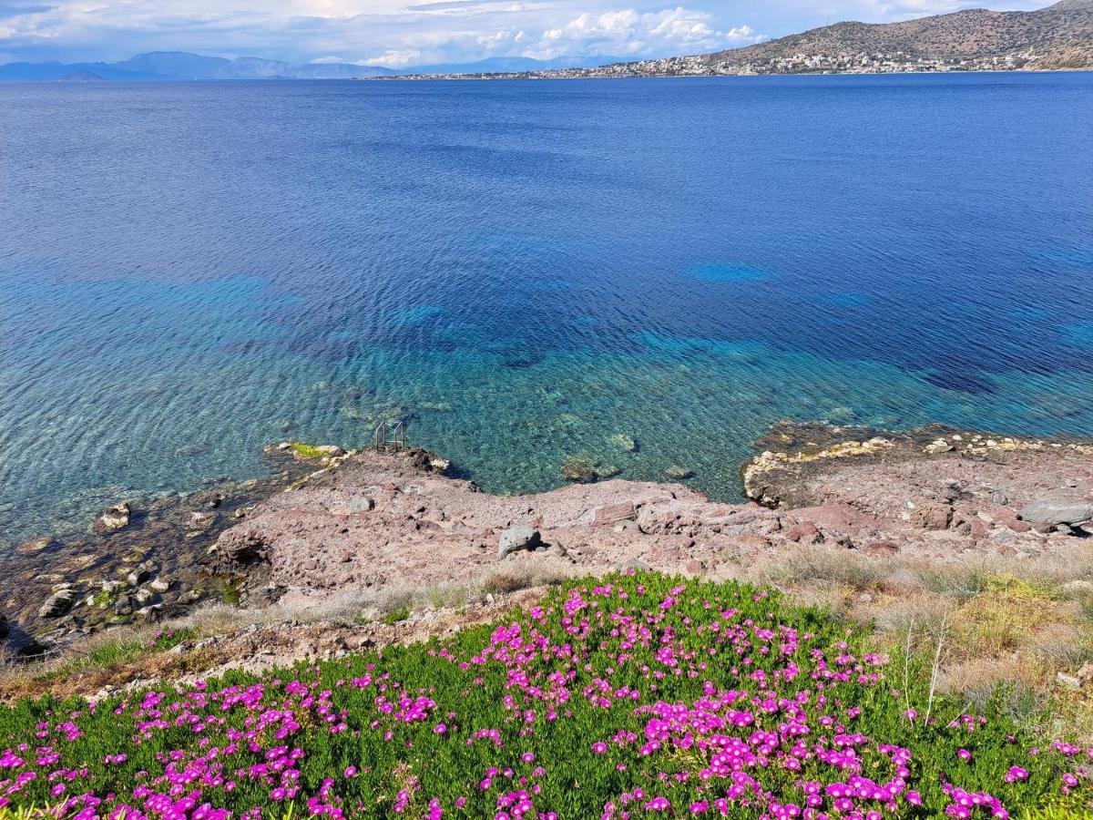 Almyra Seaside Villa Pérdika Kültér fotó