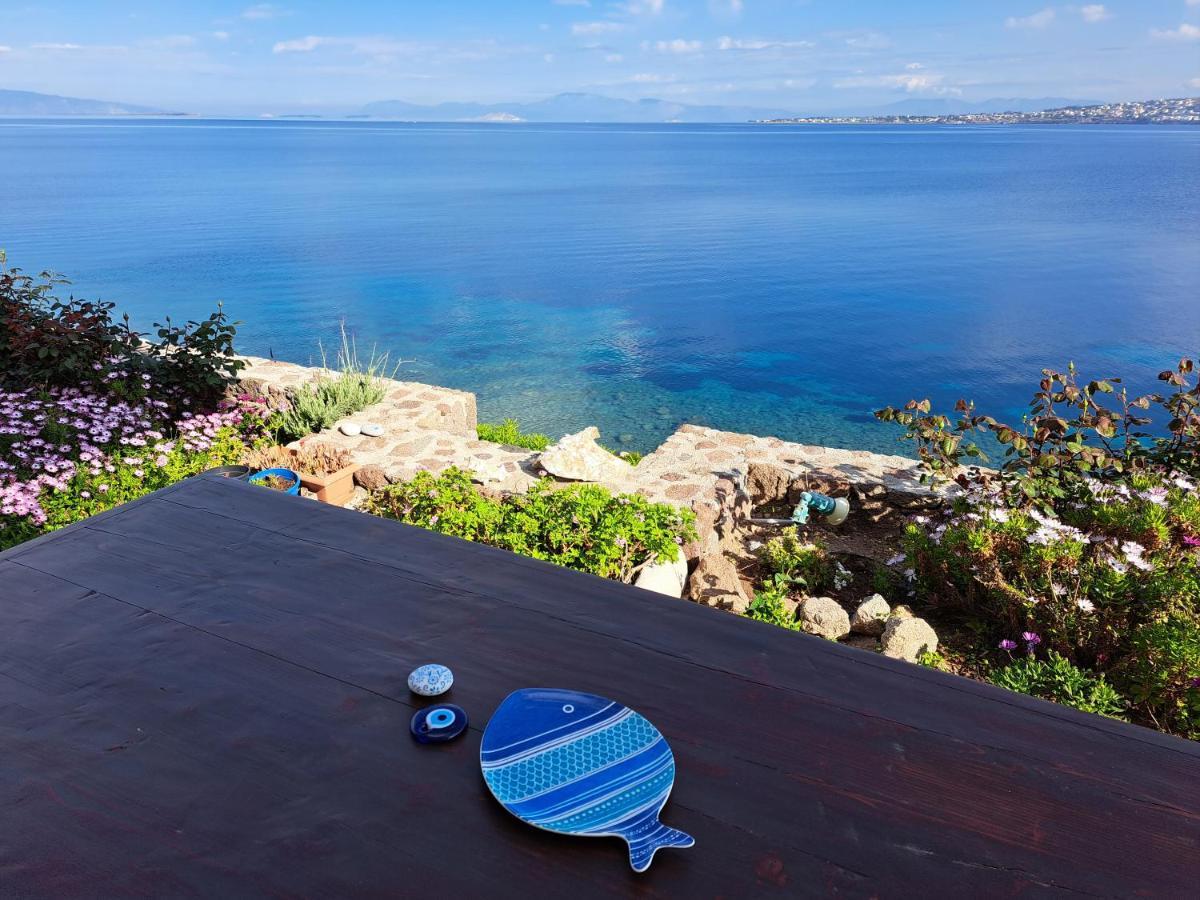 Almyra Seaside Villa Pérdika Kültér fotó
