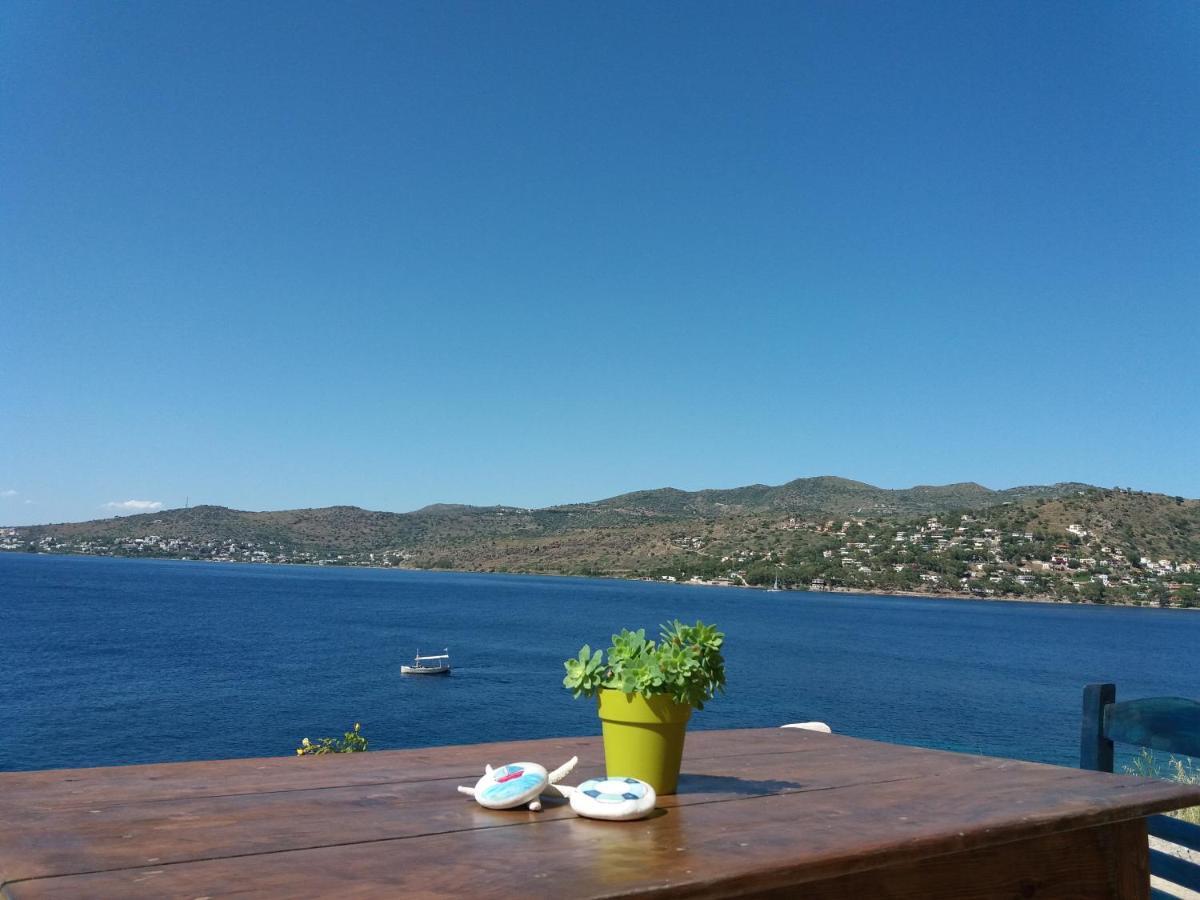 Almyra Seaside Villa Pérdika Kültér fotó